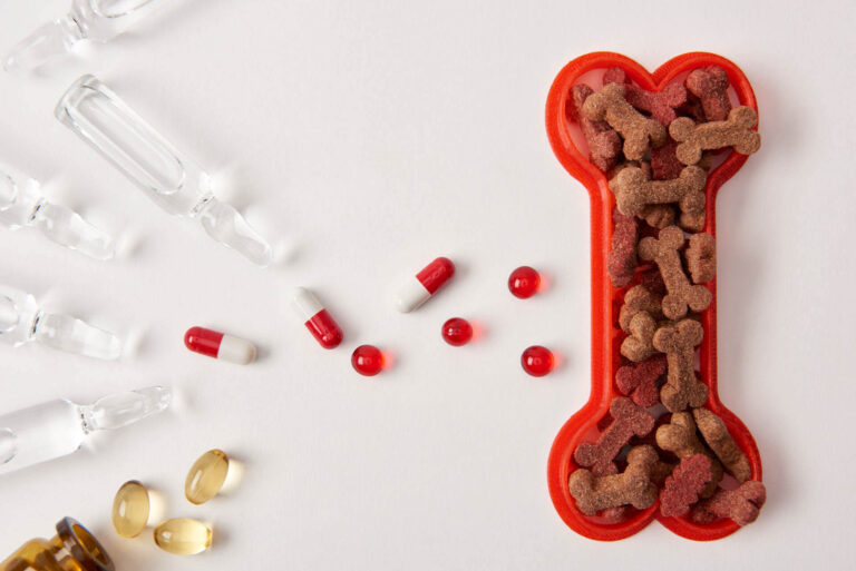 Tabletten mit Hundenahrung als Beispiel für Ernährung bei kranken Hunden