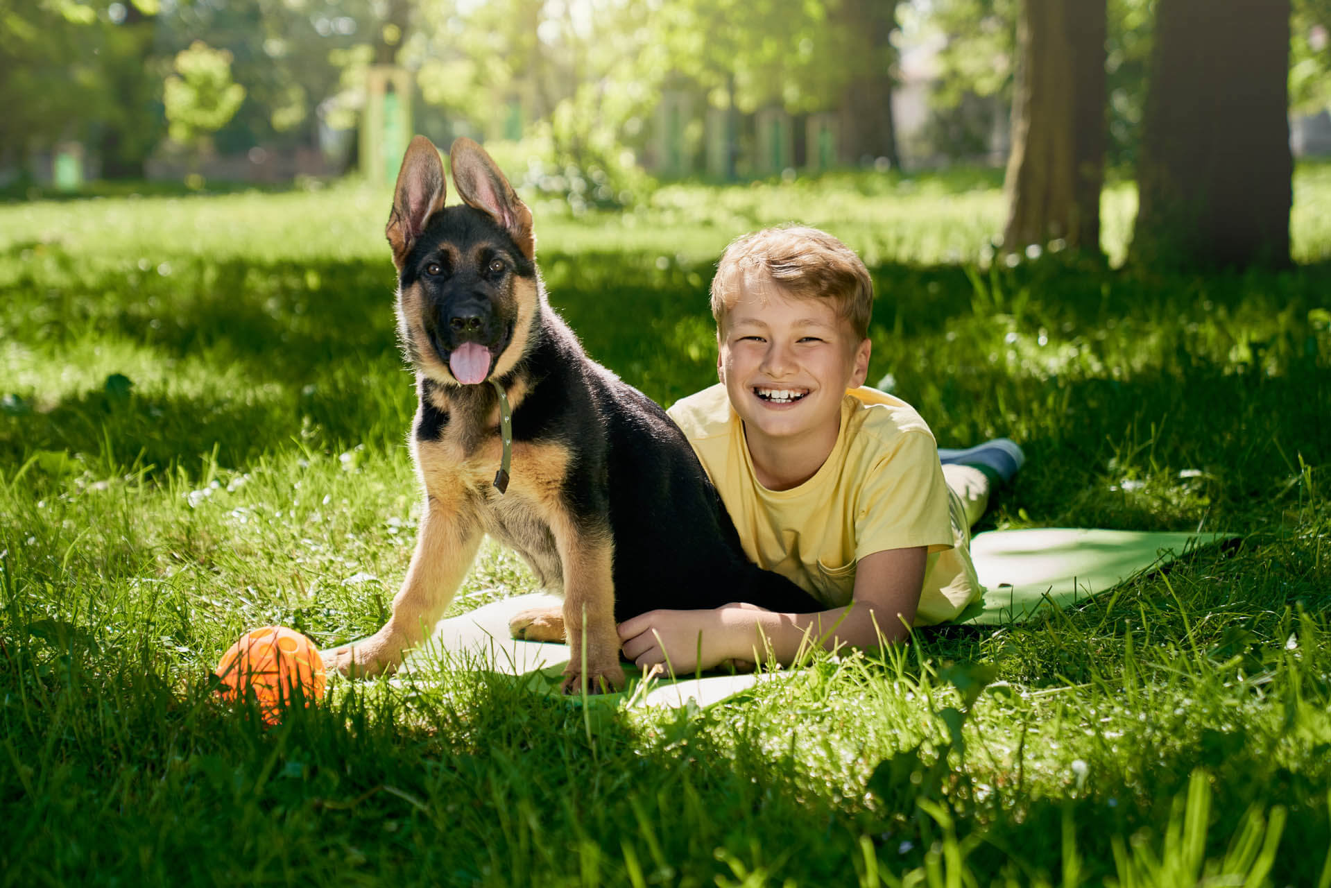 Kind und Hund zusammen als Beispiel für Hundetraining Zuhause